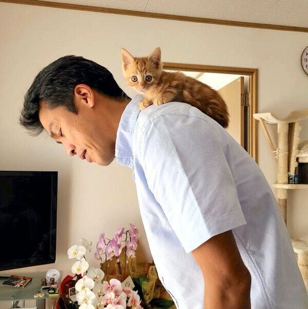 ご主人の肩に乗るふくくん