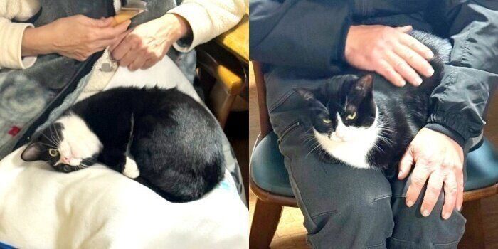 お母さんの膝上（左）とお父さんの膝上（右）で様子が異なるタビちゃん