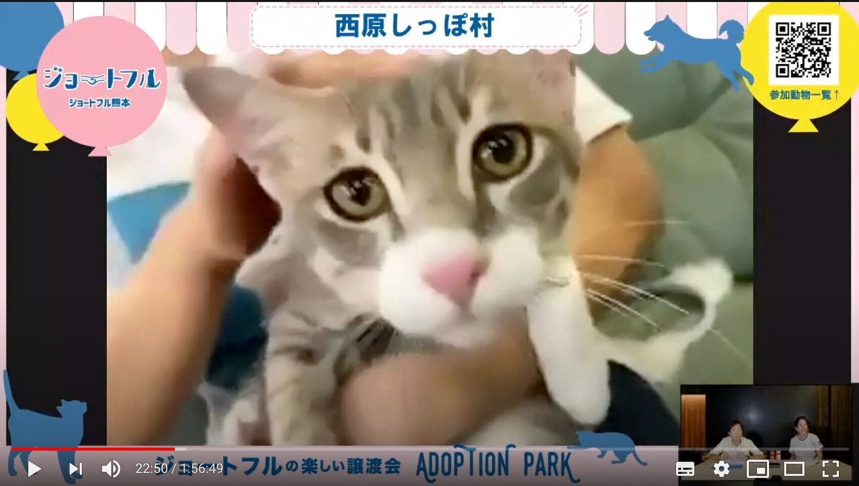 写真提供／一般社団法人Do One Good