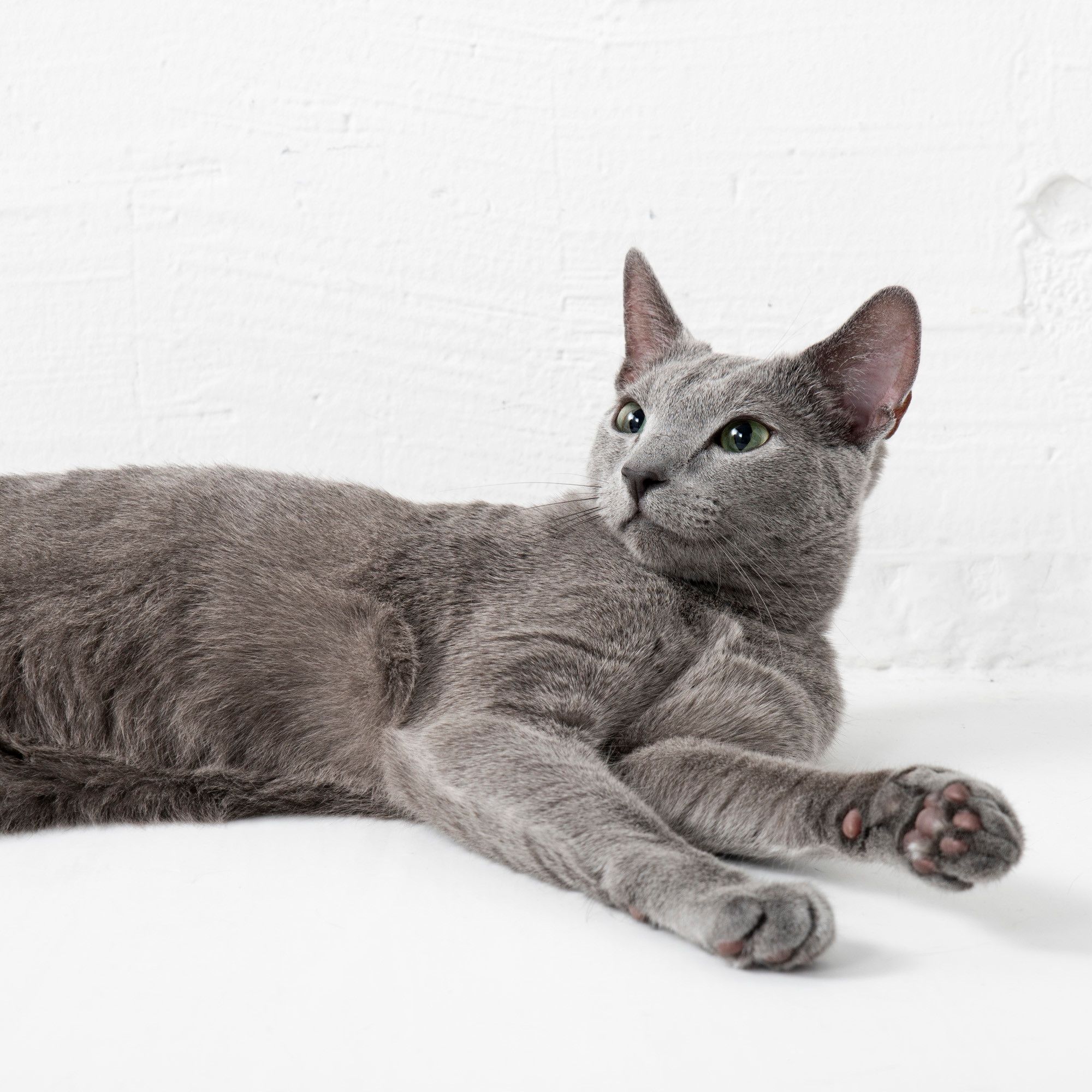 撮影／中川文作