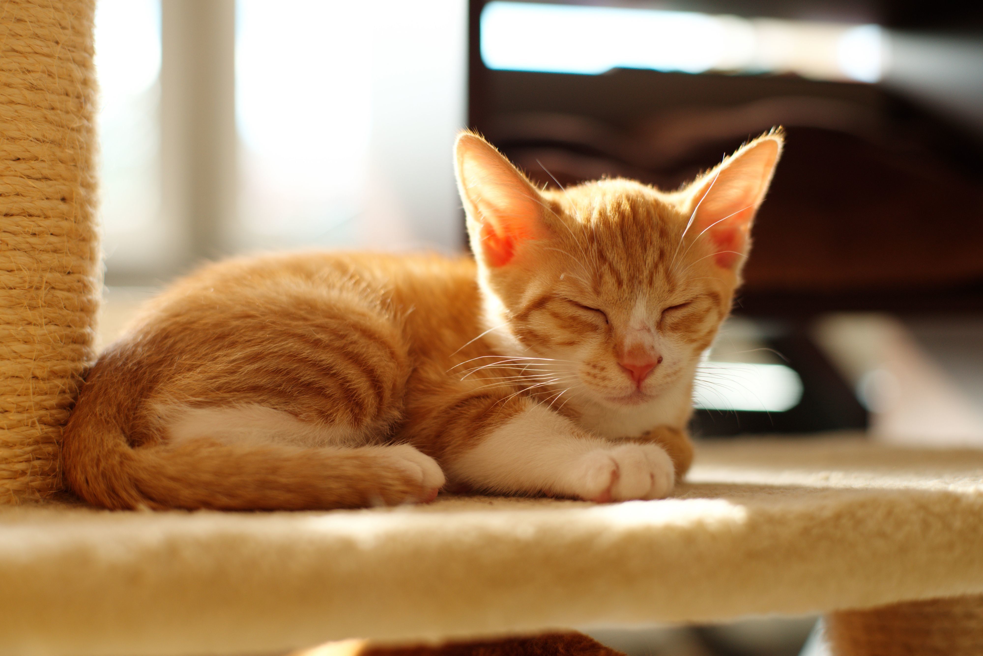 撮影／Akimasa Harada