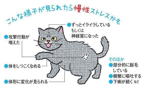 慢性ストレスの症状