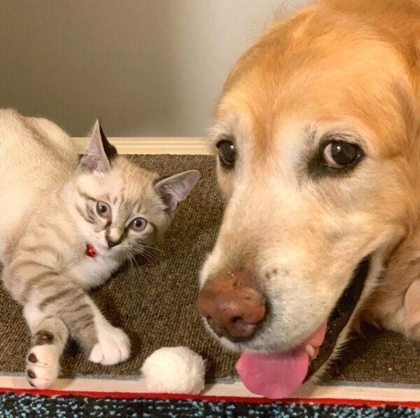 仲良しなネルちゃんとオペルちゃん