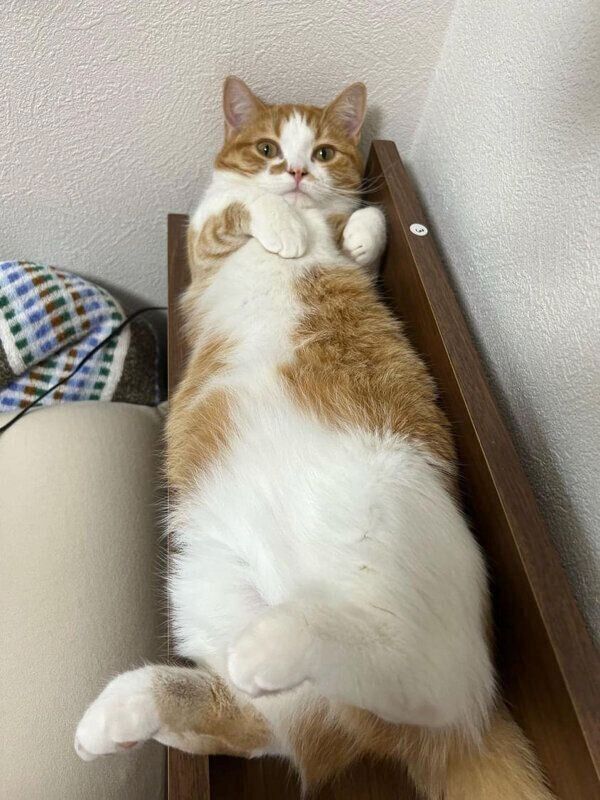 くつろぐみくるちゃん