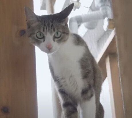 おはぎちゃん♡