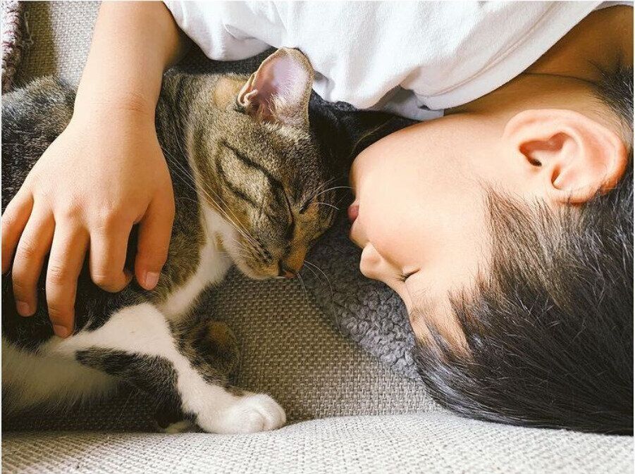 コスモスくんとたいくん