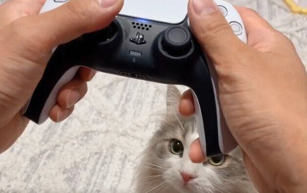 コントローラー越しに見つめるララちゃん