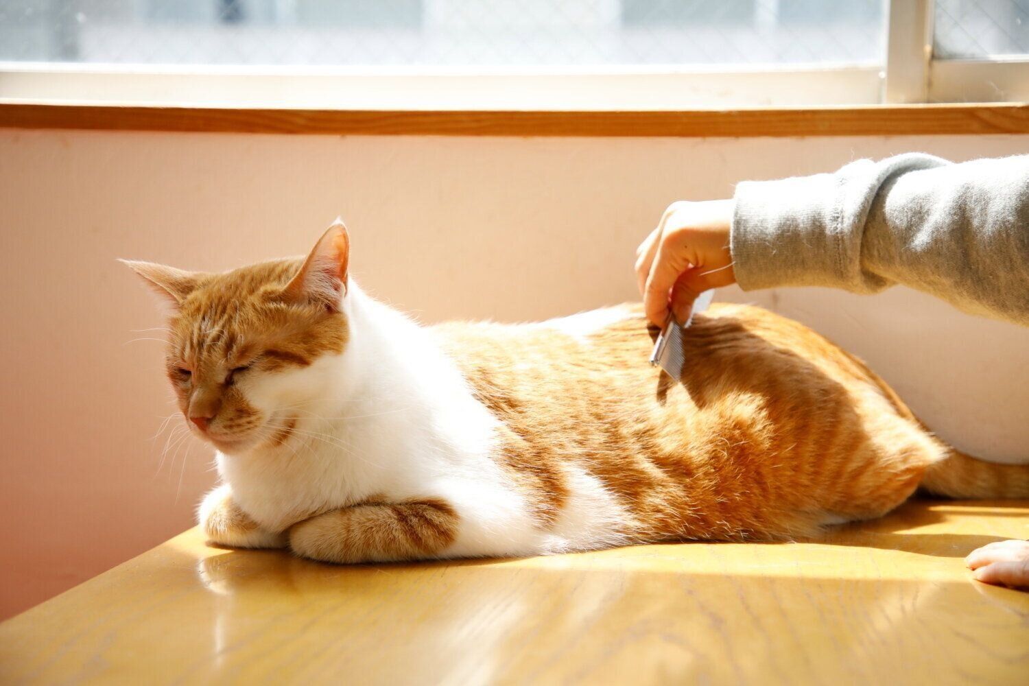 撮影／尾﨑たまき