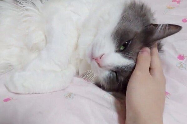 うっとり顔になるいーくん