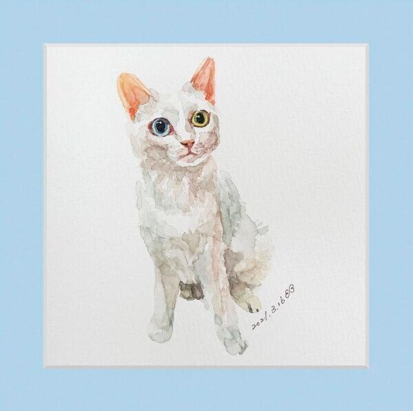つじさんの愛猫水彩画作品