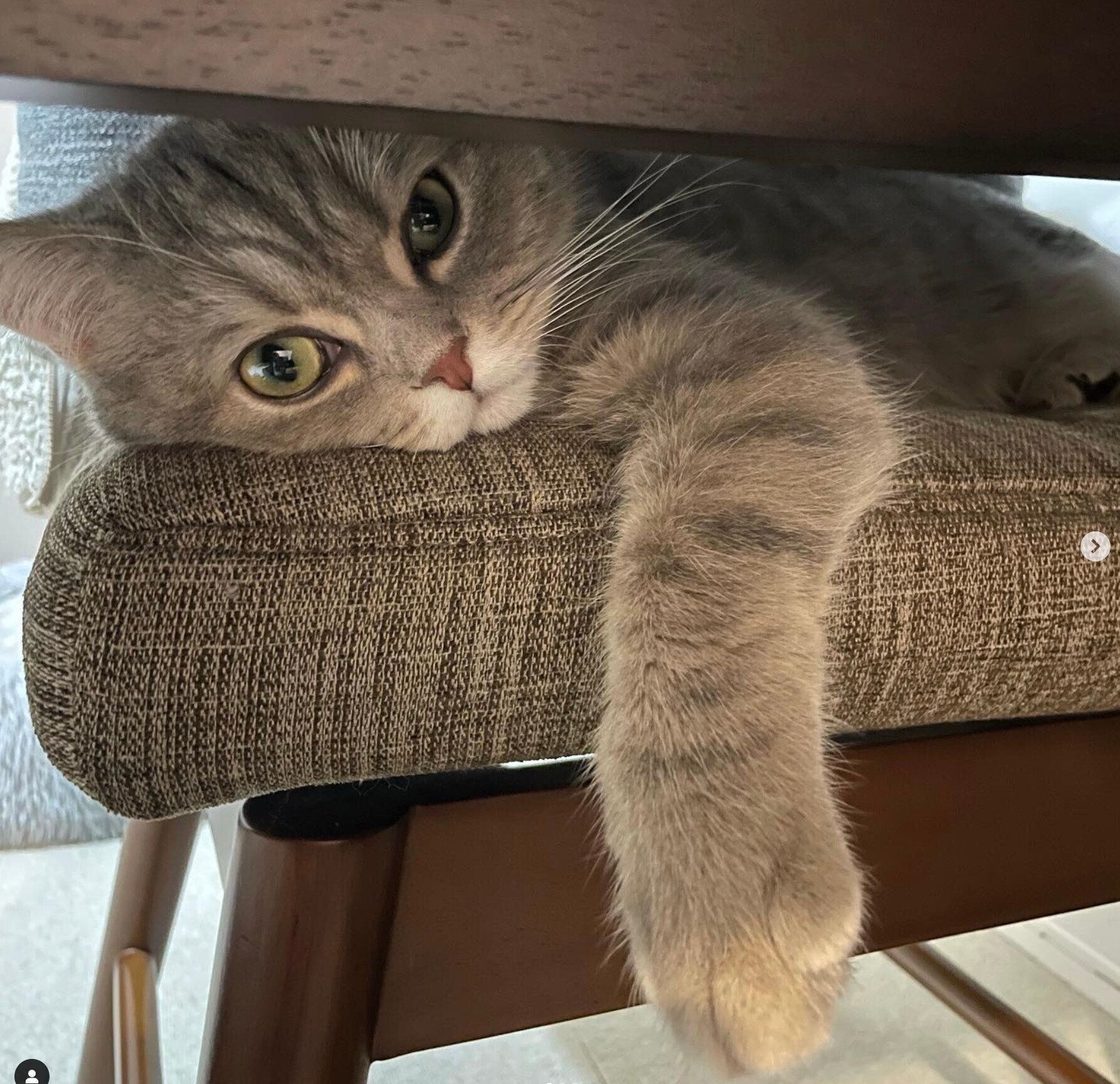 くつろぐマヨくん