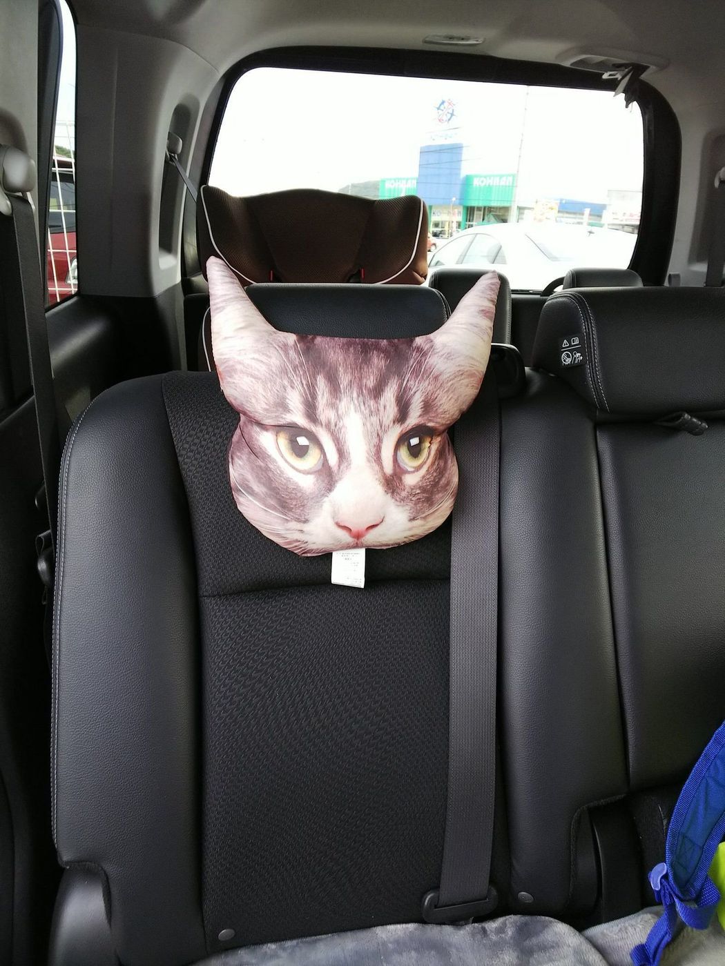 猫好きさん注目 インパクト大なダイソーの 猫クッション ねこのきもちweb Magazine 猫好きさん注目 インパクト大なダイソーの 猫クッション ねこのきもちweb Magazine