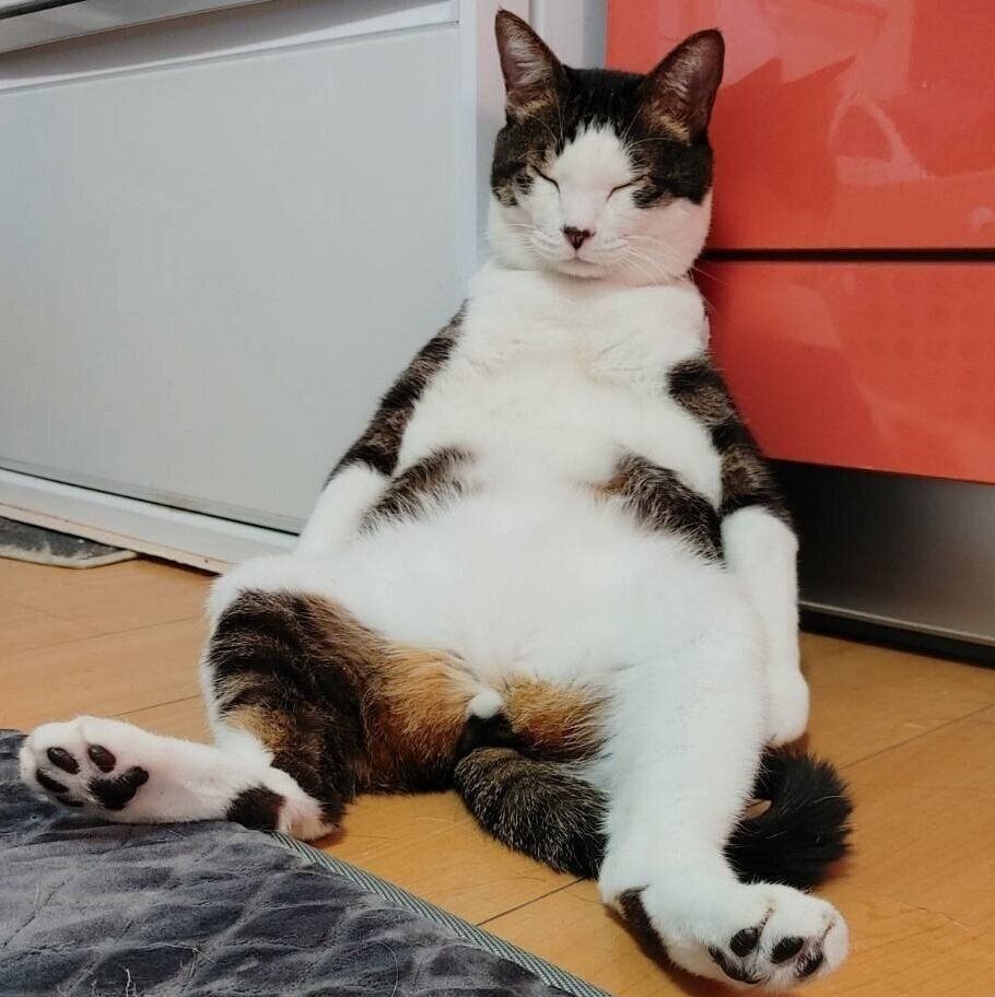 3年前に話題になった投稿