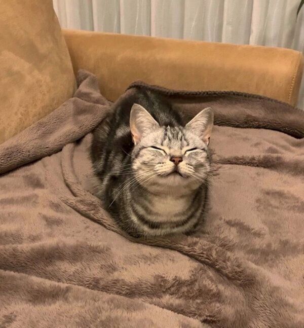 くつろぐあんこくん