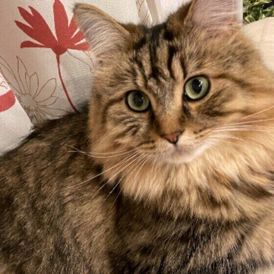 ミヌエットのミントくん♪