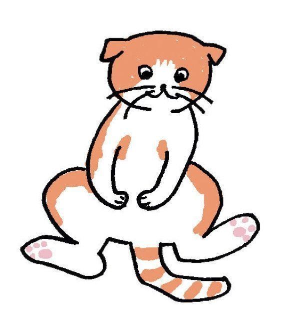 表情でわかる猫の気持ち