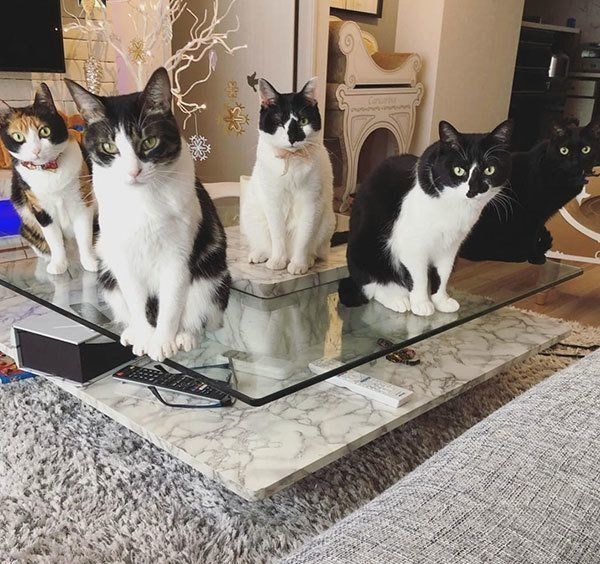 響介さんの公式Instagramより