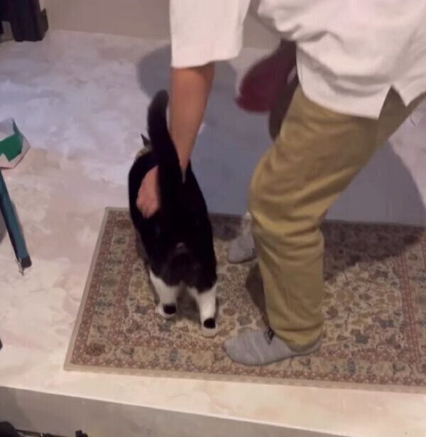 息子さんに甘えるぽんずちゃん