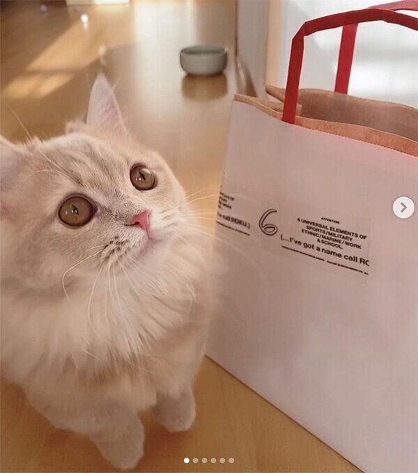 見上げるにこちゃん