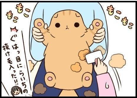 「もふもふスコタン」タイトル
