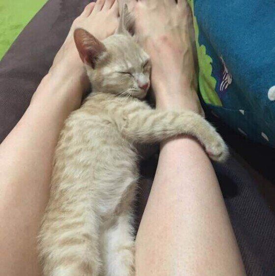 お迎え初日のさあやちゃん♪