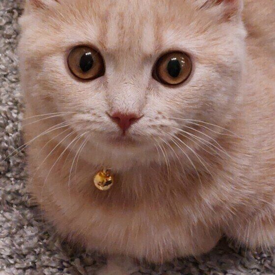 撮影に緊張するももちゃん