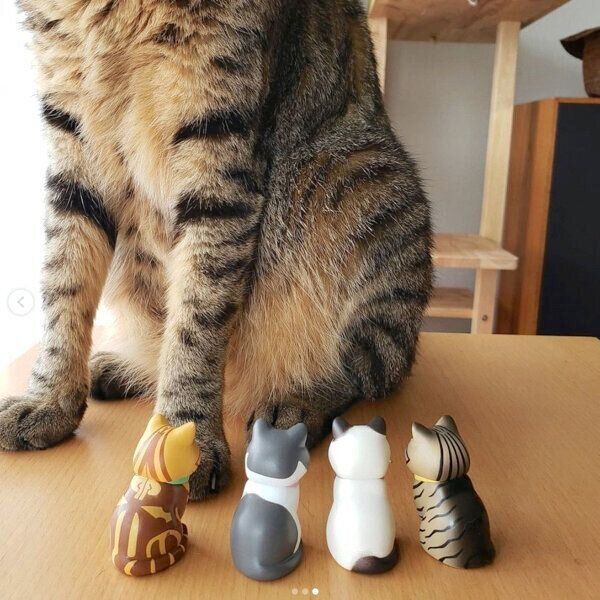 カプセルトイ「紙袋に入った猫2」