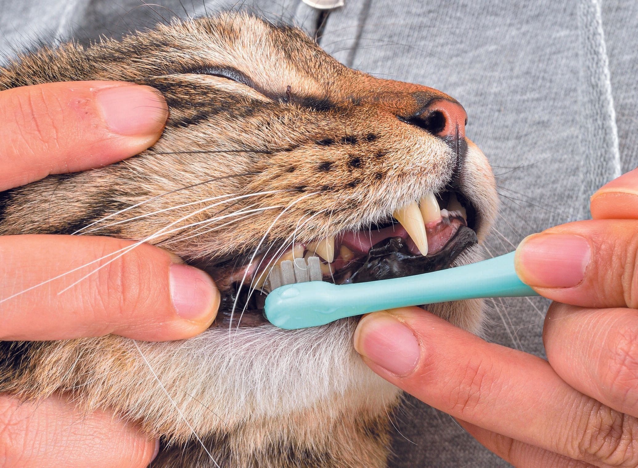 撮影／佐藤正之