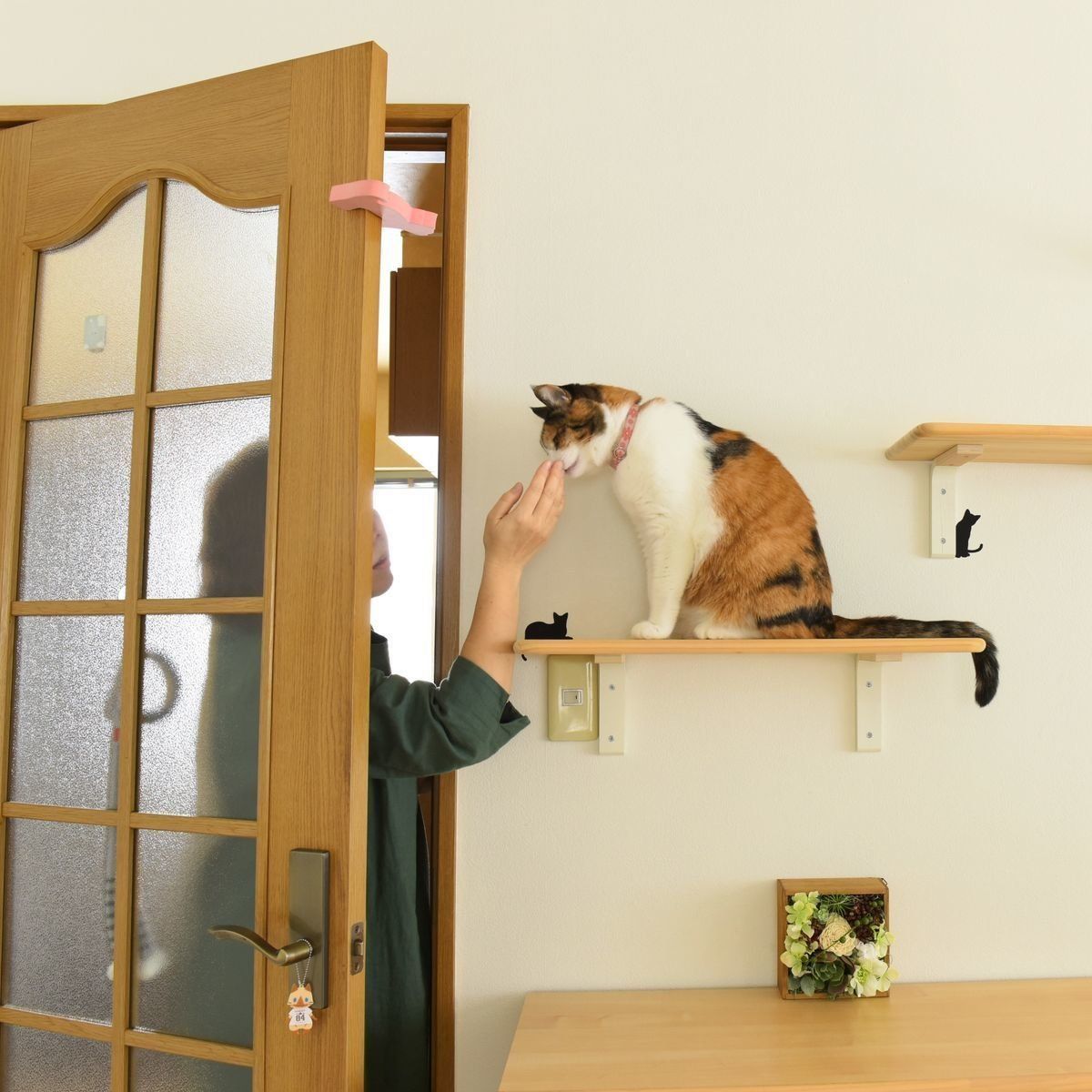 撮影／工藤由里子