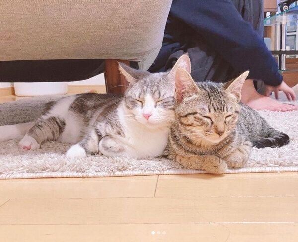 寄り添うイヴくんとノアちゃん