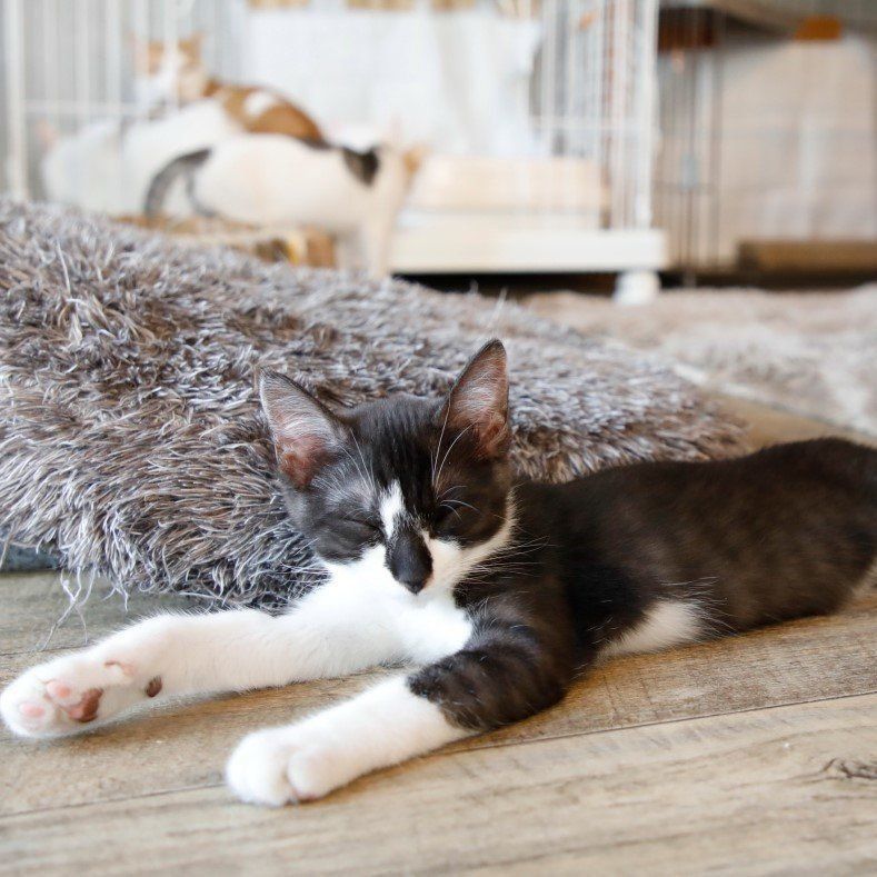 撮影／尾﨑たまき