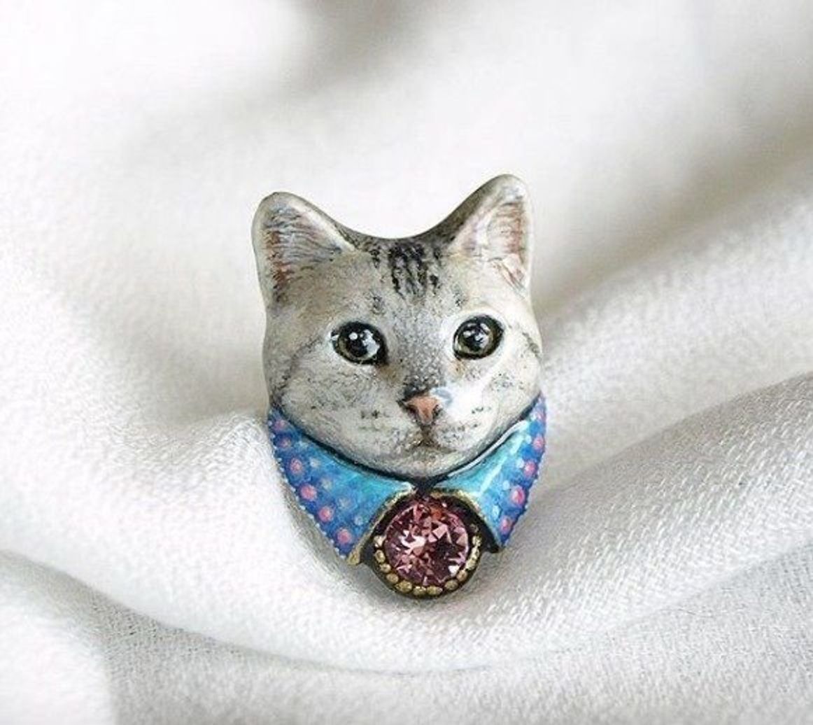 愛され続ける猫種 アメショ に注目してみた ねこのきもちweb Magazine 愛され続ける猫種 アメショ に注目してみた ねこのきもちweb Magazine