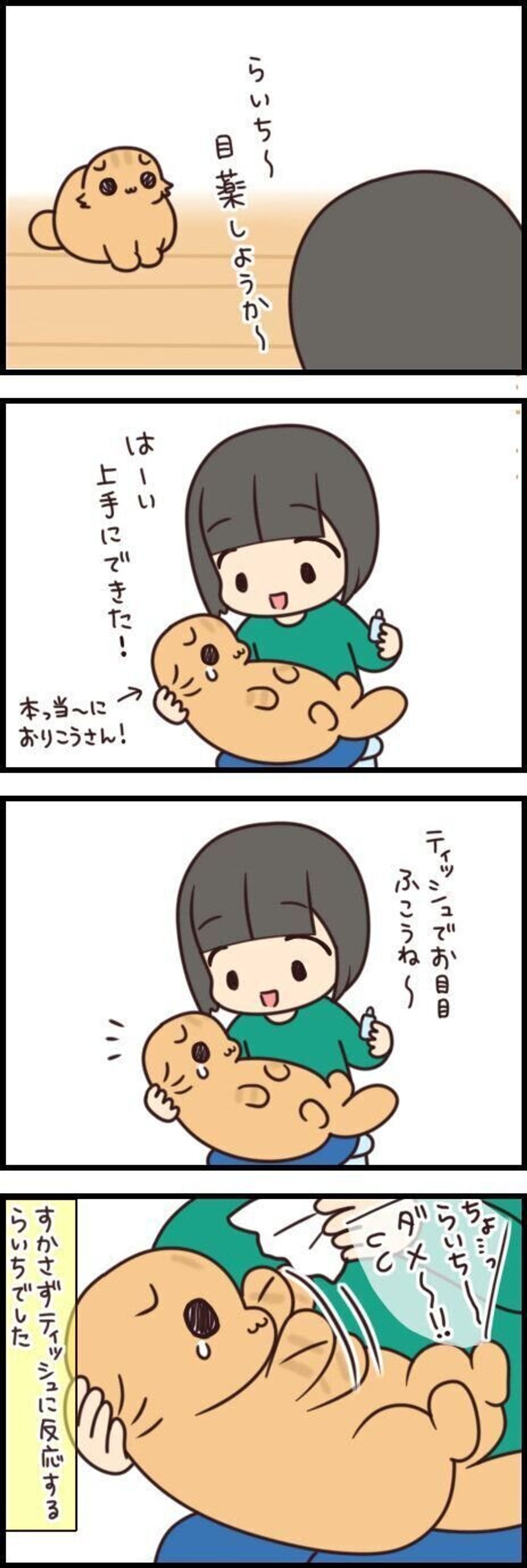 遊びと勘違いしている 反応がかわいいお邪魔猫 もふもふスコたん Vol 142 ねこのきもちweb Magazine 遊びと勘違いしている 反応がかわいいお邪魔猫 もふもふスコたん Vol 142 ねこのきもちweb Magazine