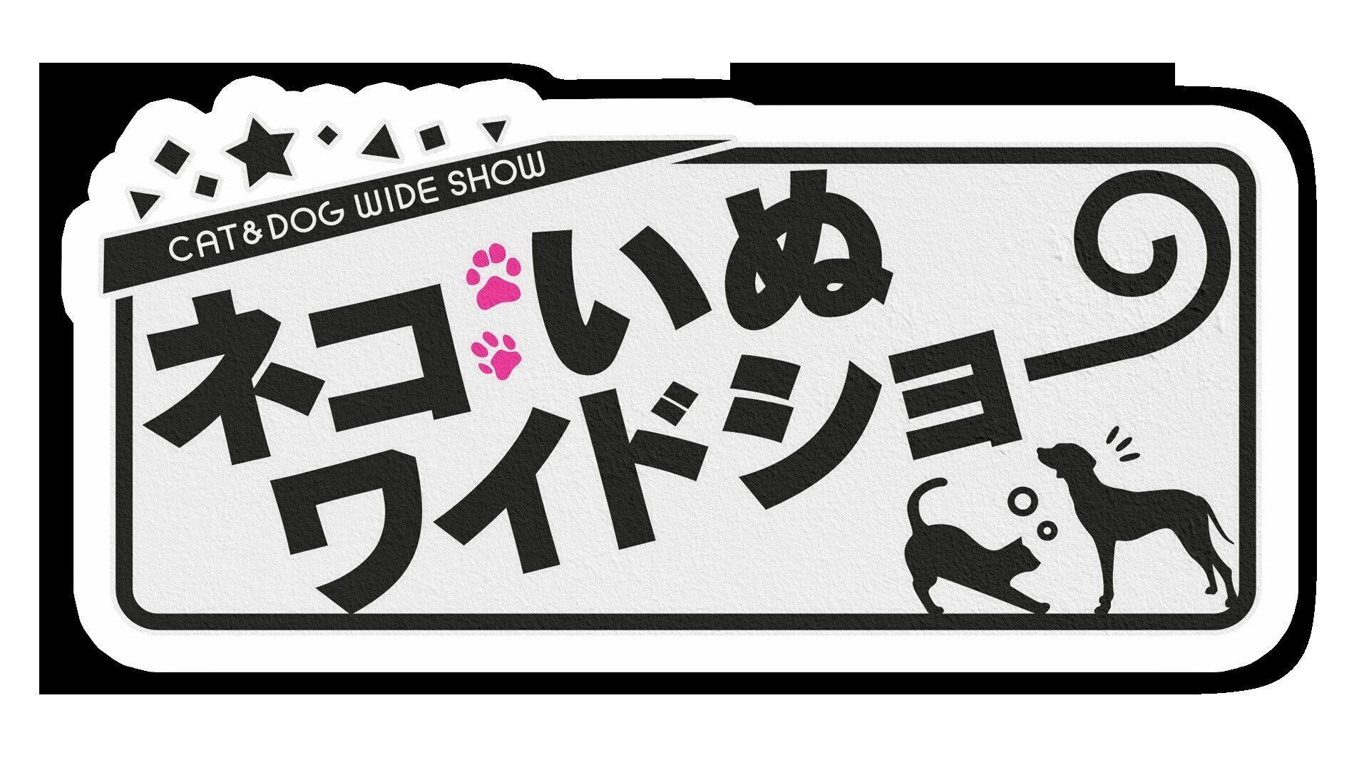 ネコいぬワイドショー