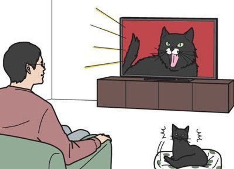 猫の声が聞こえると猫を探しにいく 男の猫道 ねこのきもちweb Magazine限定話 Vol 7 ねこのきもちweb Magazine 猫の声が聞こえると猫を探しにいく 男の猫道 ねこのきもちweb Magazine限定話 Vol 7 ねこのきもちweb Magazine