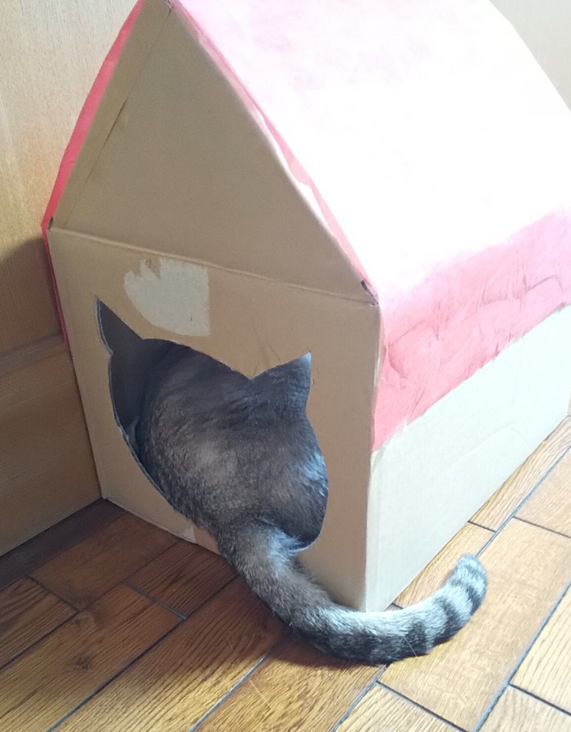 マメタロウくんのしっぽ