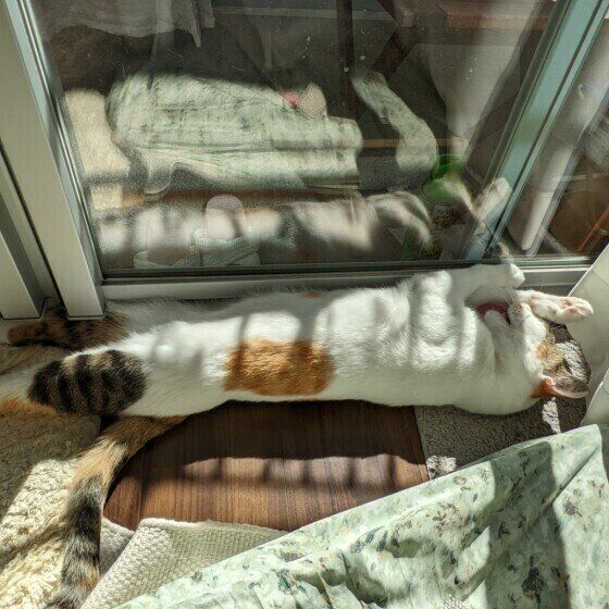 伸びるあんなちゃん（MIX）