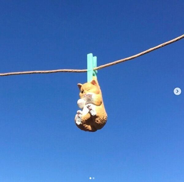 カプセルトイ「洗濯日和〜キレイになるって気持ちいい〜」