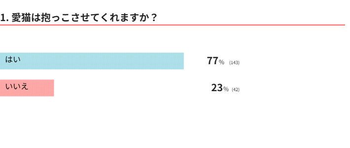 愛猫は抱っこさせてくれる？