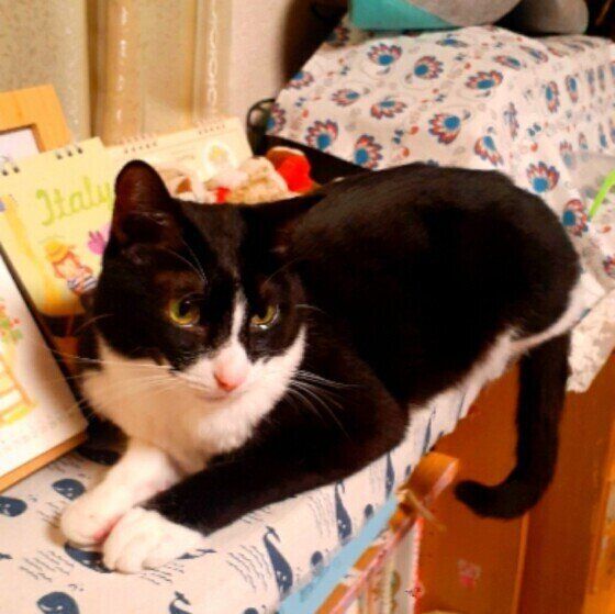 家具の端にいるなつくん