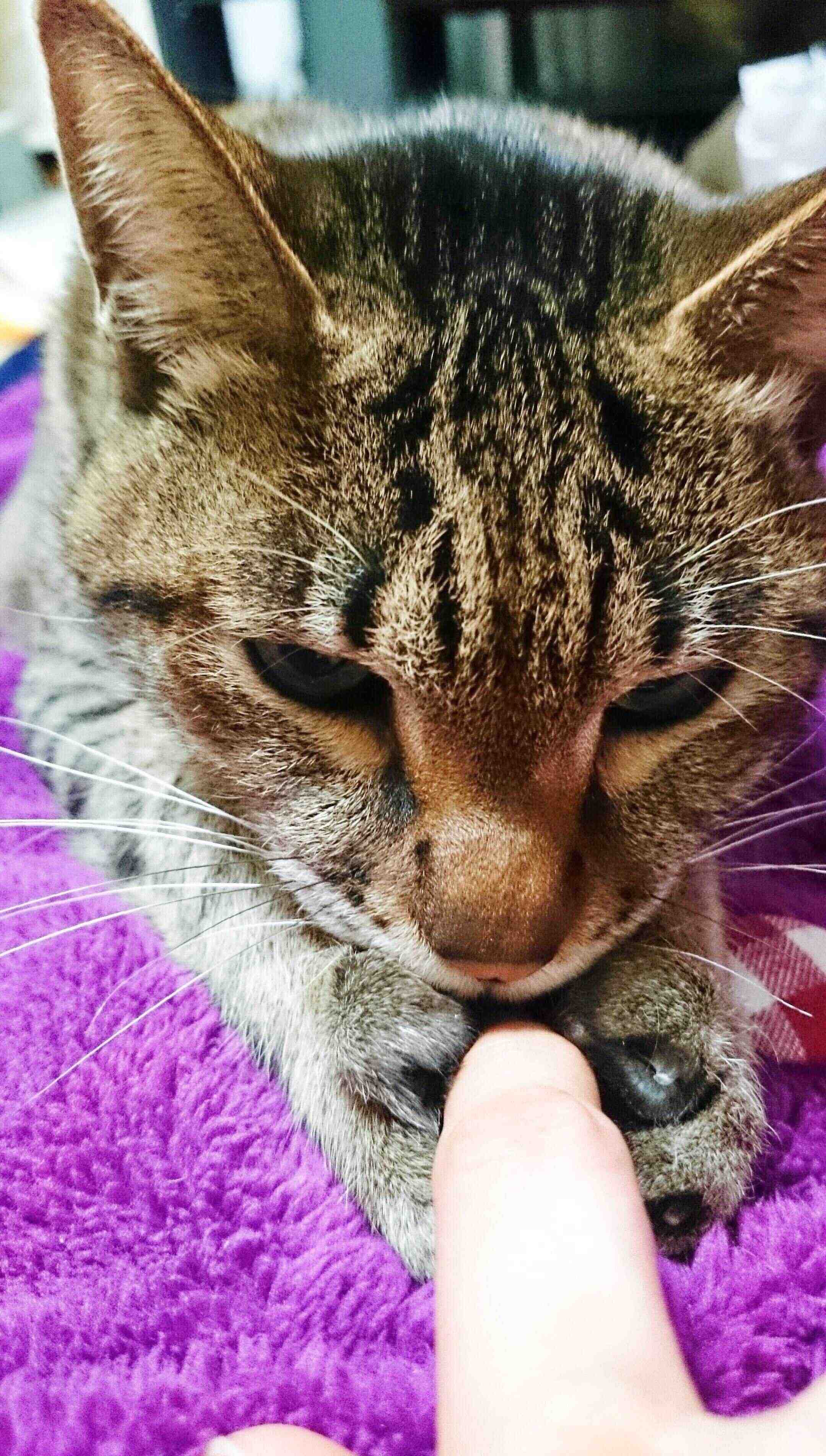 写真提供／読者