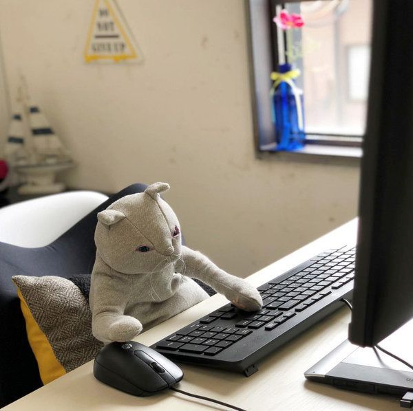 パソコン作業をする猫のぬいぐるみ
