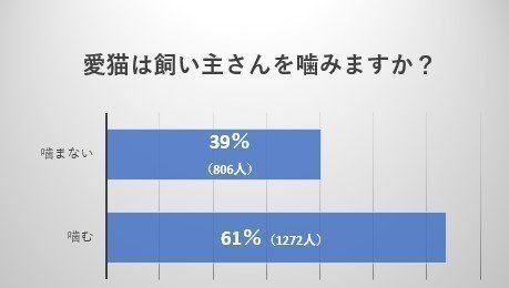 画像／ねこのきもち編集室