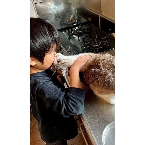 猫をなでる息子さん