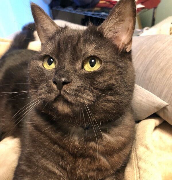 まったりするあおみねくん