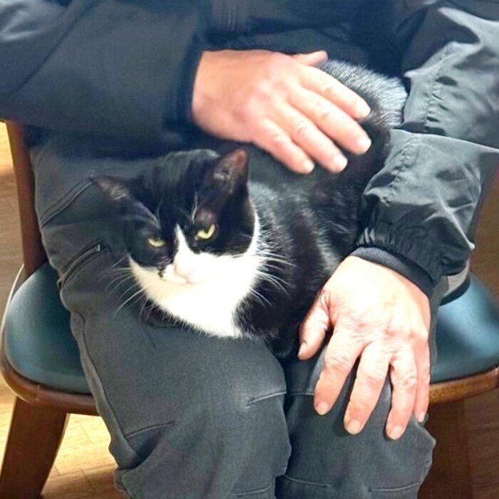 お父さんの膝上に座るタビちゃん