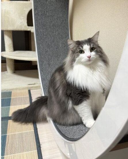 今日は車止めしているため、お休みどころとして使用中。