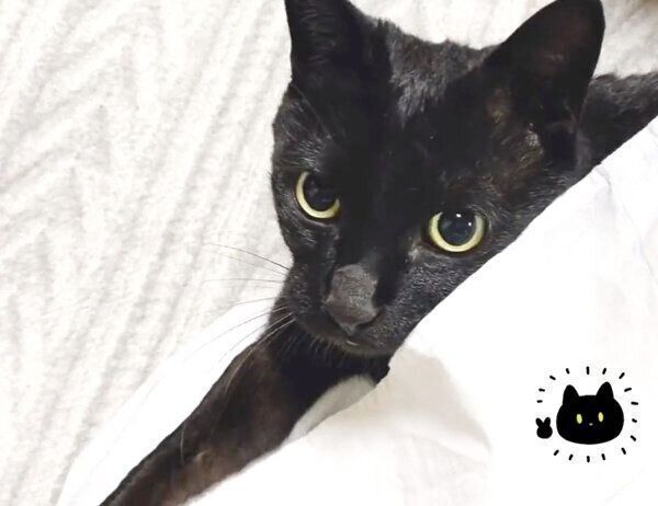 スカートで遊ぶのが好きなろんさん