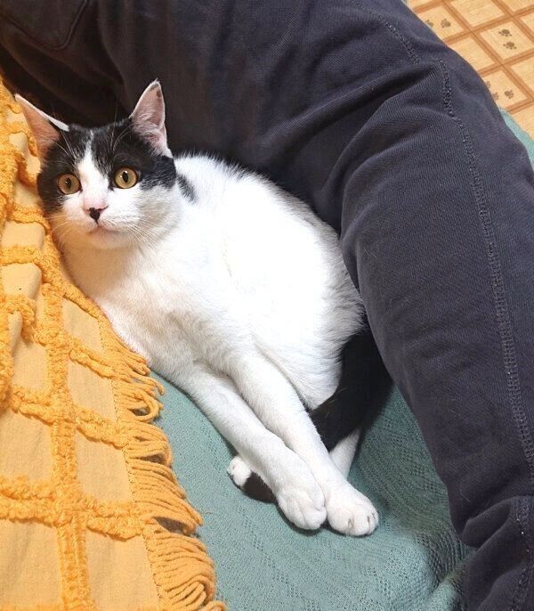 くつろぐむすびくん