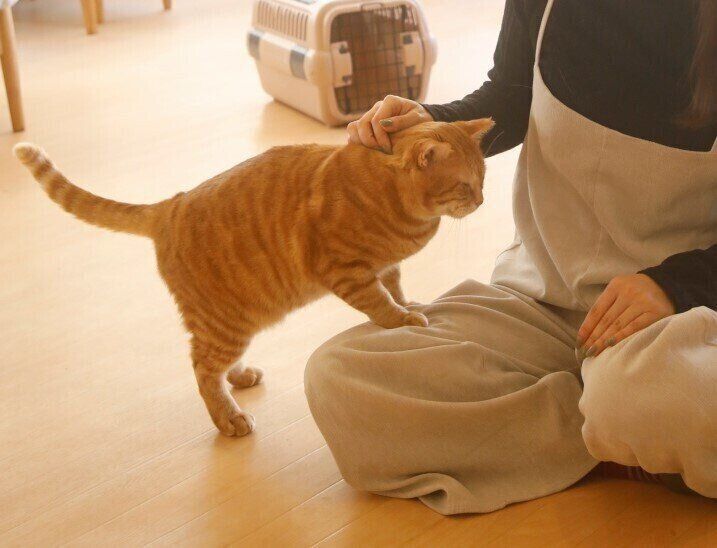 撮影／尾﨑たまき